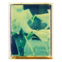 Bodegón (1993_09_15)