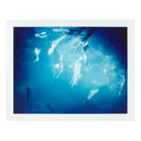 Coruña_Acuario (2002_08_08)