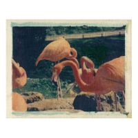 Madrid_Flamencos (1996)_02