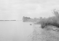 (8)_B_06