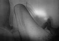 (8)_M_08