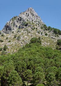 08_Piedras de adopción_Sierra de las Cumbres