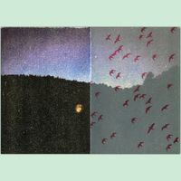 (2018_04_02) Se les oye volar todas las noches