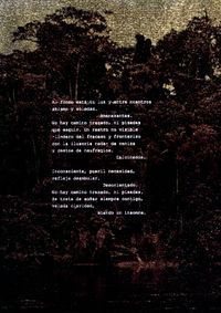 Derivas_12_2016_09_11_Abismo y soledad_Selva