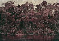 Luz velada de tinieblas_14