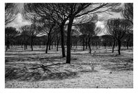 Prende fuego_Poemario_04