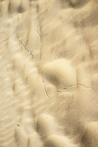 01_(2013_08_31) Doñana_Dunas_Dibuja el viento_DSF8769