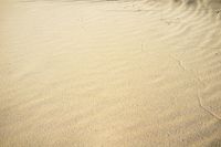 01_(2013_08_31) Doñana_Dunas_Dibuja el viento_DSF8771