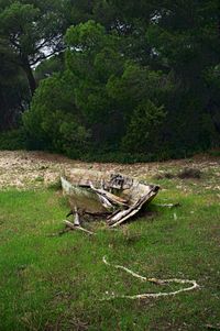 01_(2014_04_12) Doñana_La Plancha 01