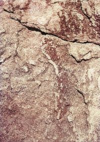 02_(2015_09_09) Piel de roca_01