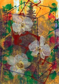 04_(2015_12_16) Mi ricordo di te