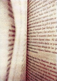 02_(2017_07_23) Letraherida_R Bolaño (2666)_01