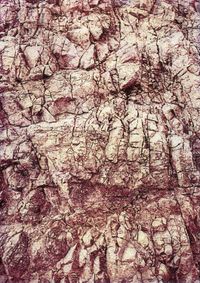 02_(2018_01_18) Piel de roca_01