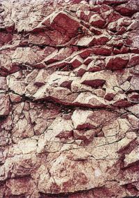 02_(2018_01_18) Piel de roca_02