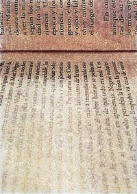 02_(2020_12_21) Letraherida_R Bolaño (2666)_04