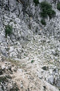 05_(2020_01_18) Grazalema_DSF6961