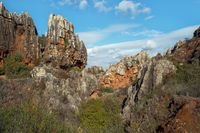 05_(2021_11_23) Cerro del hierro_L1030219