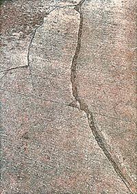 06_(2023_11_06) Irati_Embalse de Irabia