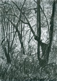 08_(2023_08_24) Bosque_02