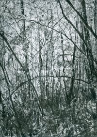 09_(2023_08_24) Bosque_03