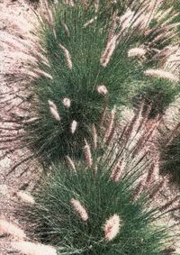 04_(2024_06_26) Sentir cómo te elevas