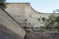 13_(2024_08_13) Cittá del Vaticano_L1030544