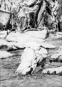 07_(2025_05_01) Lágrimas de luz_01